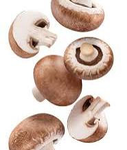 MUSHROOMS
